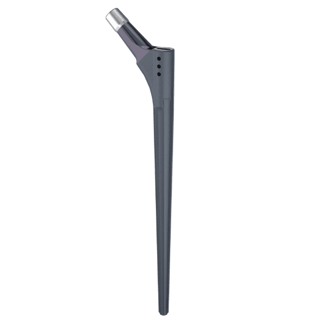 Agluna Hip System
